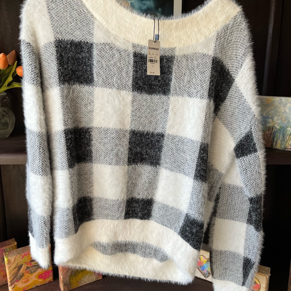 Express cozy soft sweater